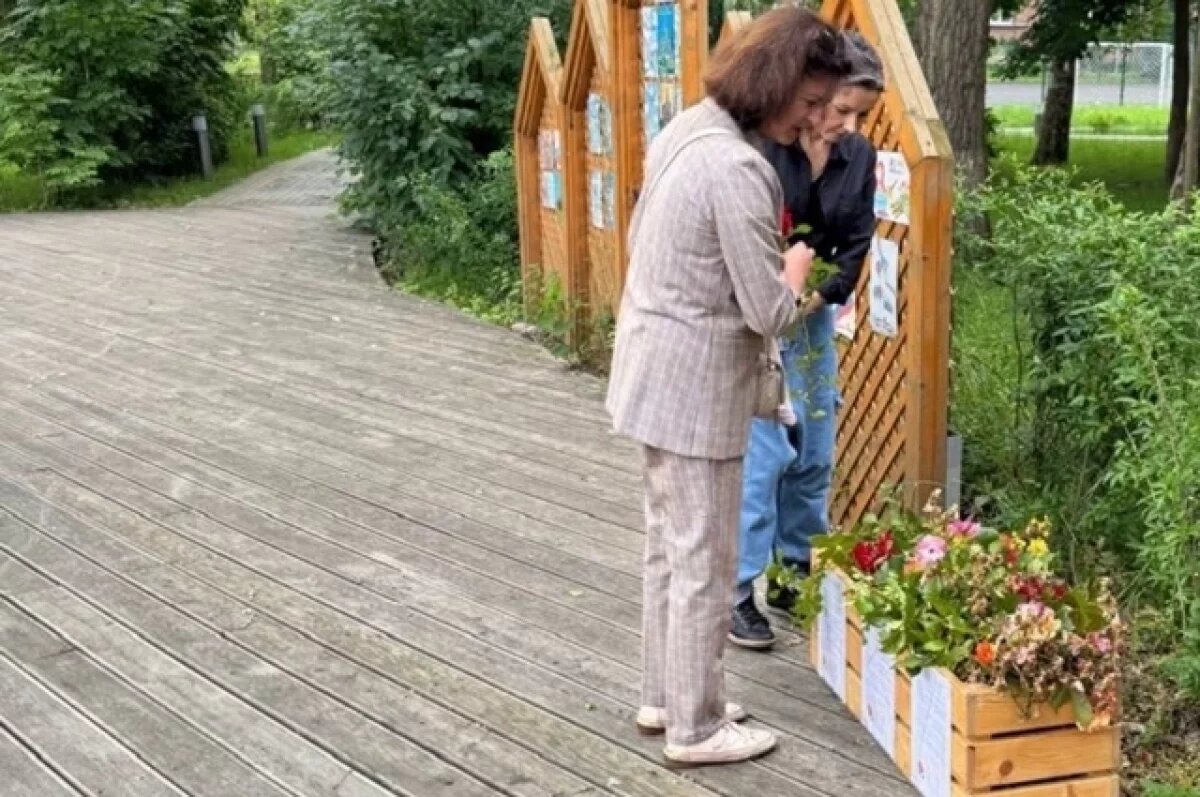    В Зеленоградске опять будут раздавать черенки роз