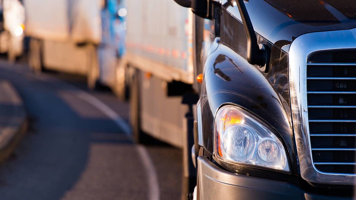    Фото: Shutterstock