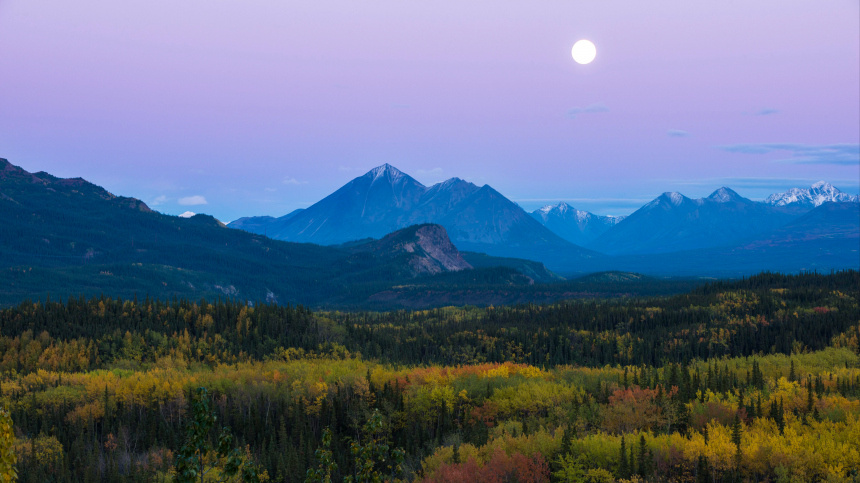    Фото: www.globallookpress.com/Robert Haasmann