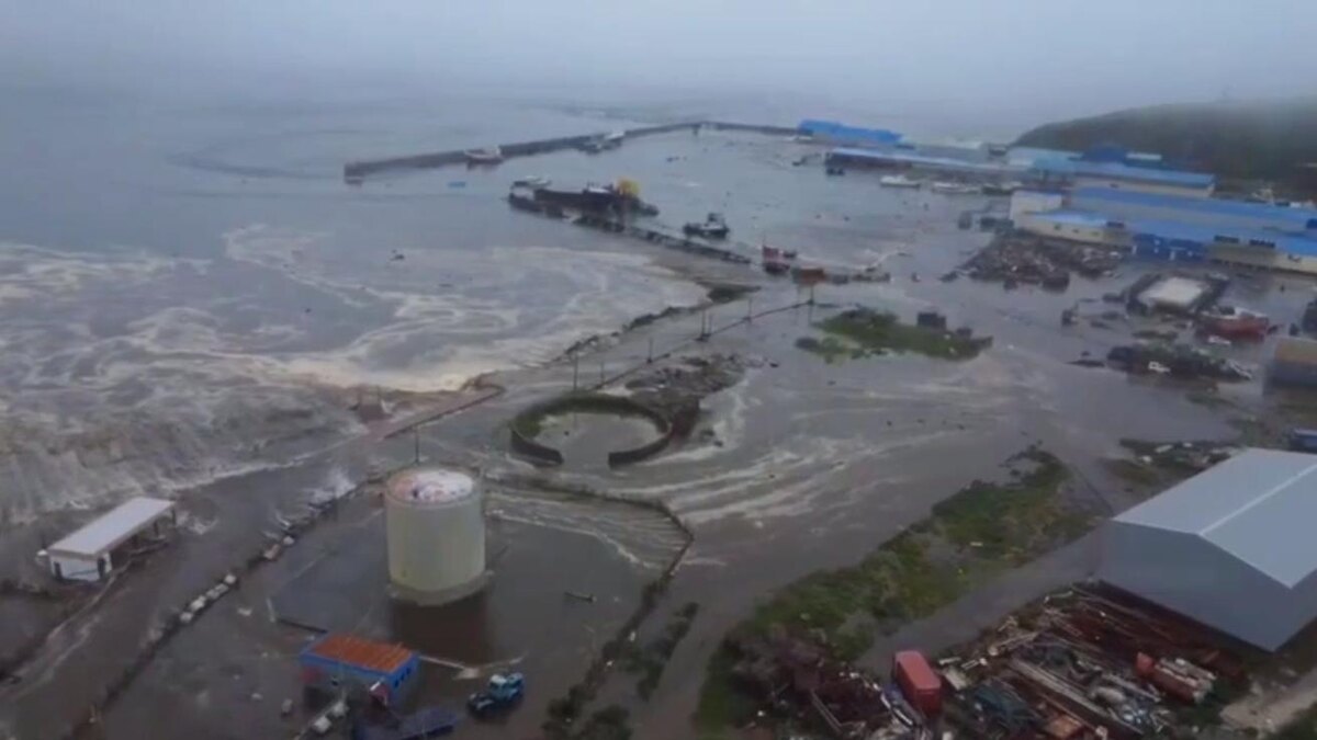    Фото: t.me/atorus