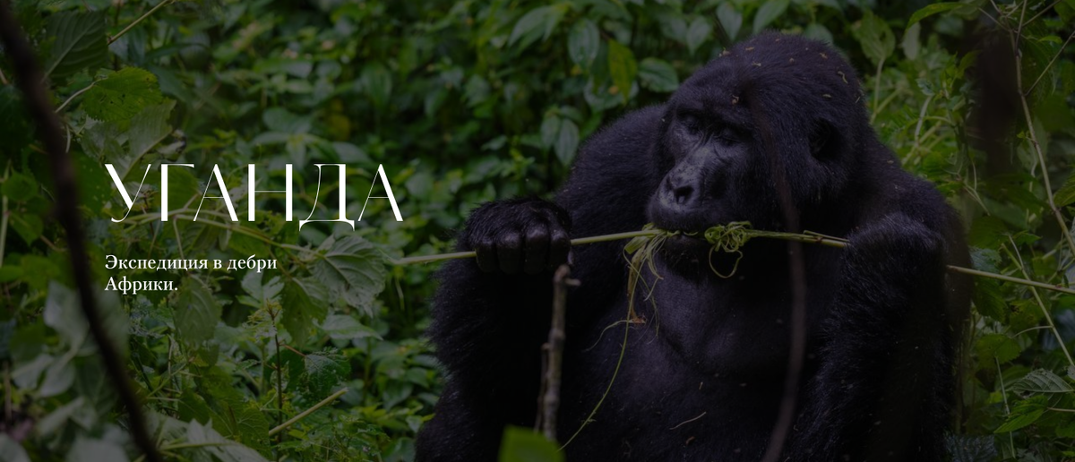 Почувствуй себя исследователем и первооткрывателем Африки в большой приключенческой экспедиции через всю Уганду