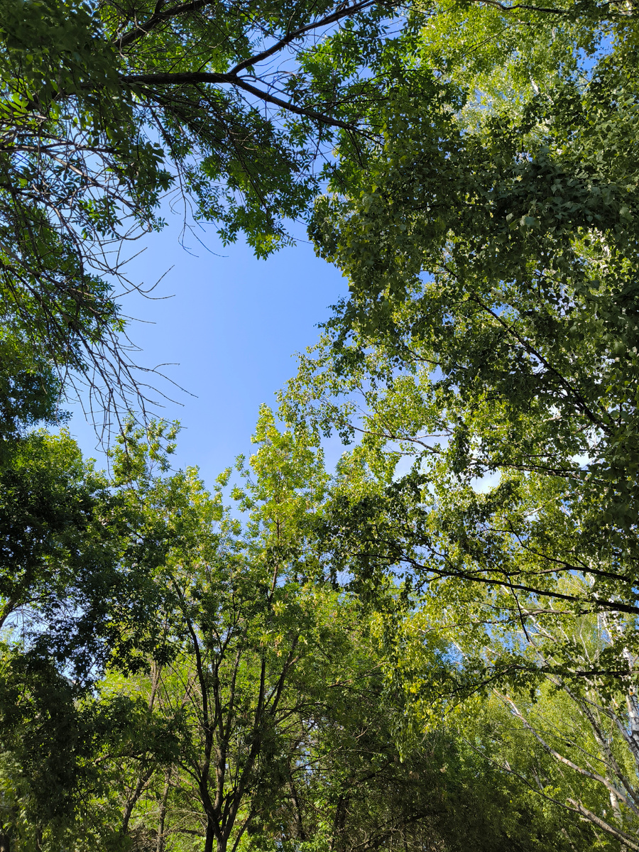 Фотографии в статье авторские