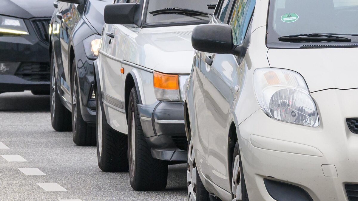    Фото: Patrick Pleul/globallookpress.com