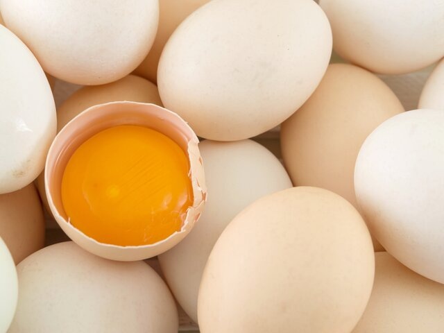    Фото: creativefamily/123RF