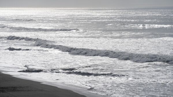    © AP / Emily Steinberger