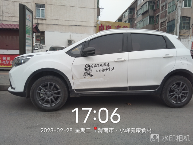 Фото 2. Вид с боку на Geely Vision X3 Pro.