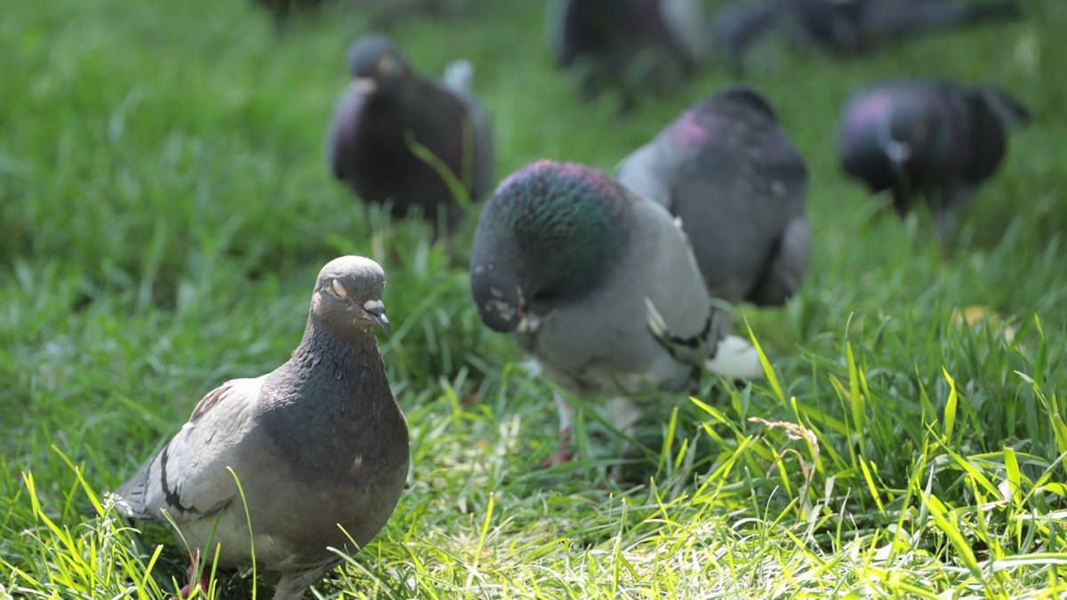    Фото: пресс-служба правительства Новосибирской области