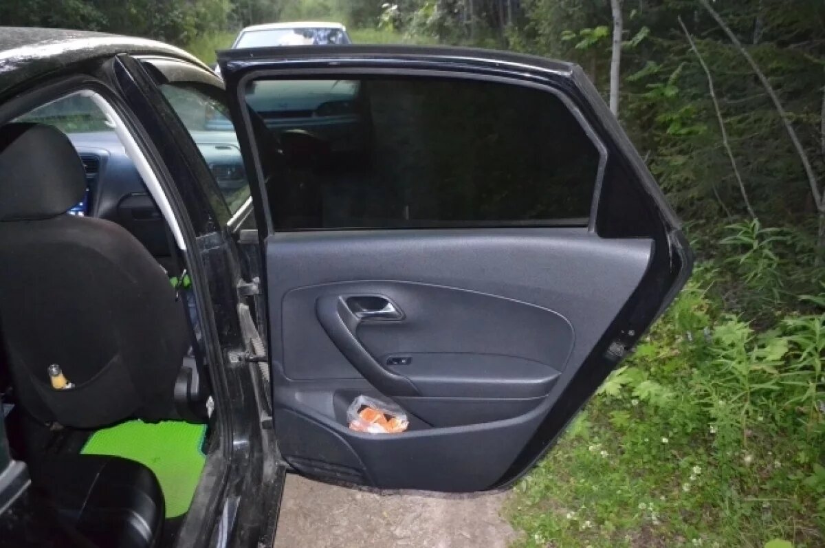    Девушка бросилась в лес с наркотиками на глазах у ДПС в Коми