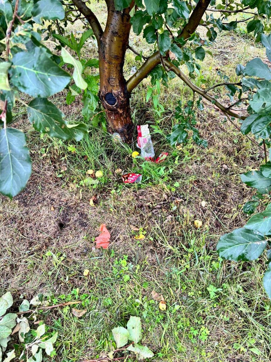    Фото: Татышев-парк