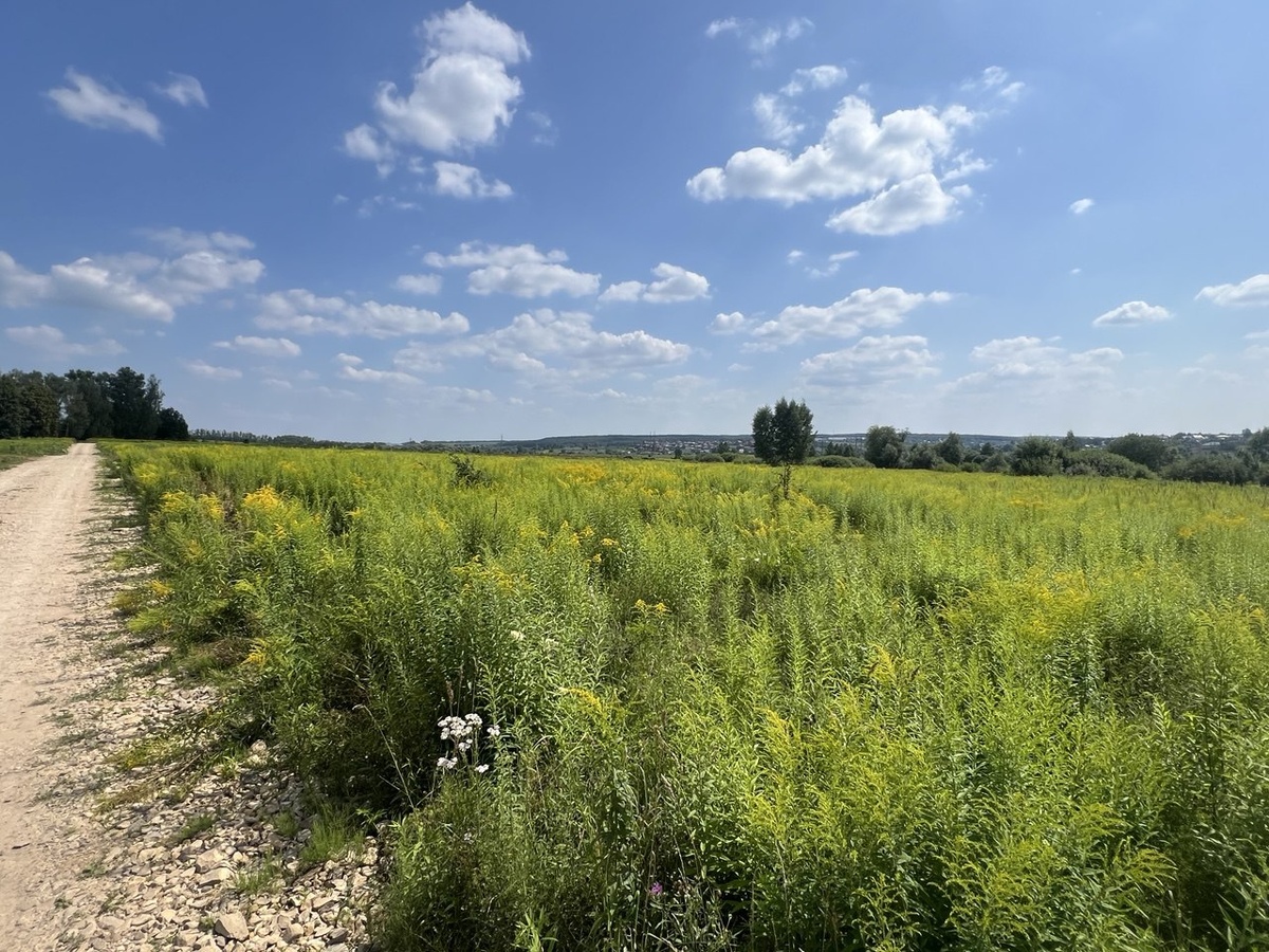 Обзорное фото в Медвенке, городской округ Тула