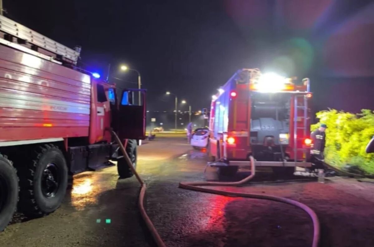    Жуткие кадры с места пожара приюте для собак в Волгограде появились в Сети