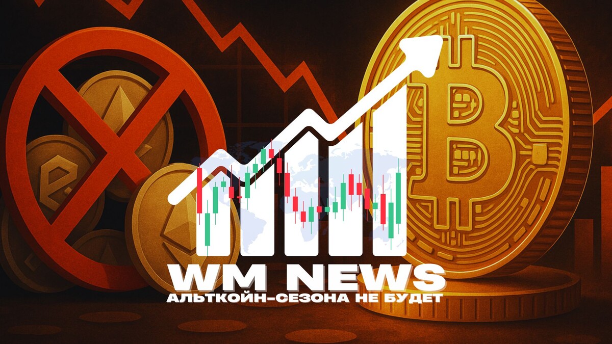 WM NEWS • выпуск №15
