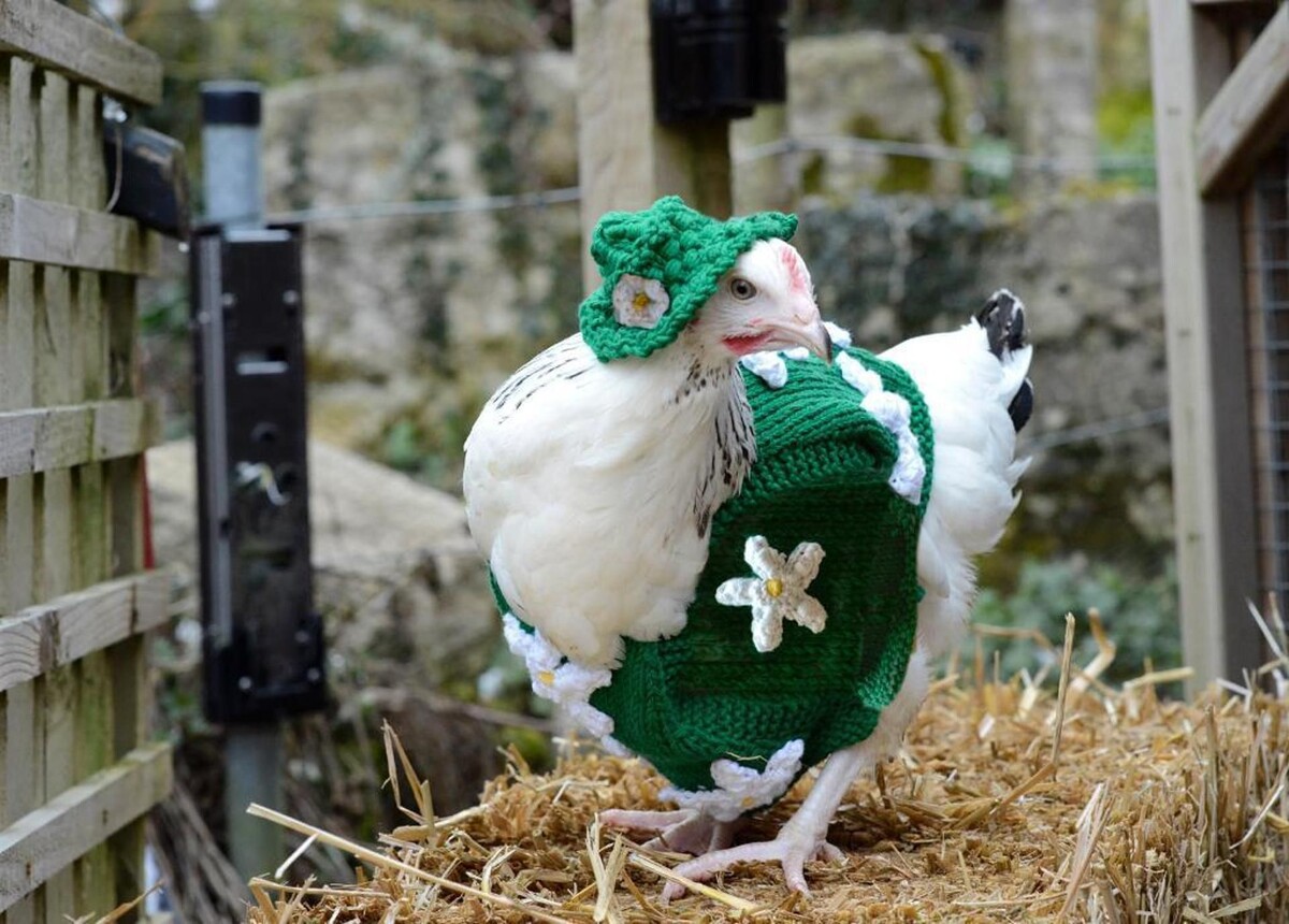 Источник фото: https://i.pinimg.com/originals/f2/25/28/f2252854a9ff0e2bad6d79f889561002.jpg