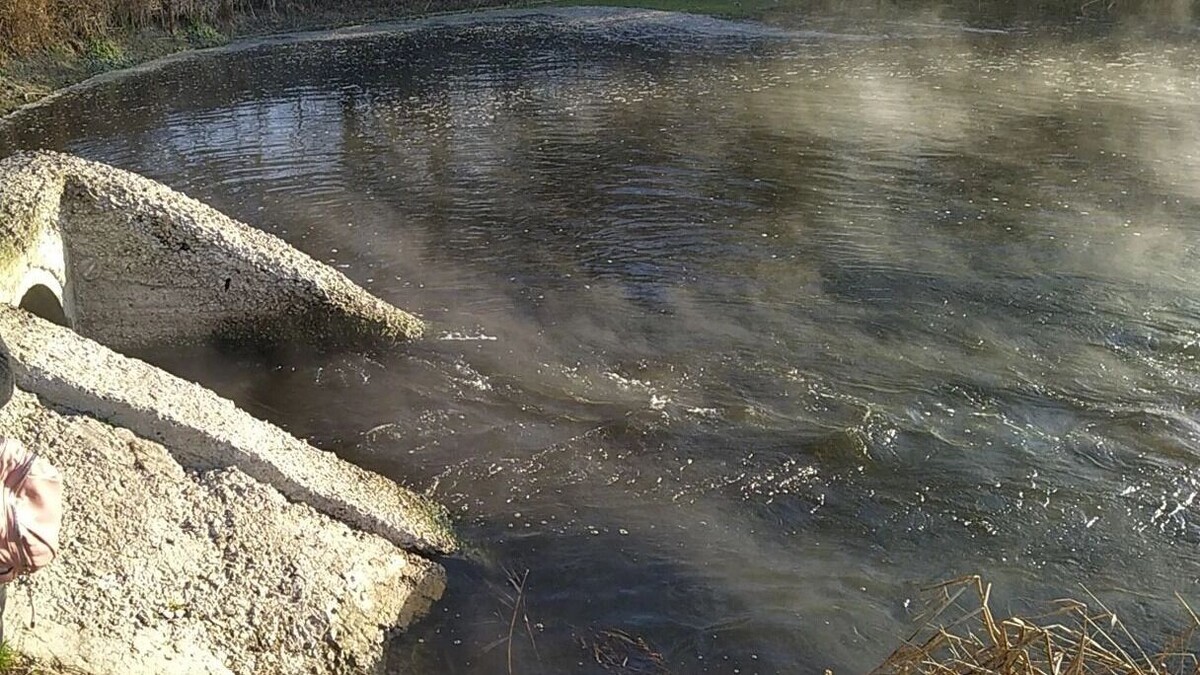     Источник: Центрально-Чернозёмное управление Росприроднадзора