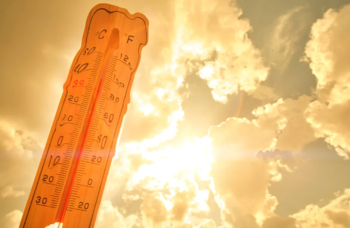 Картинка из интернета