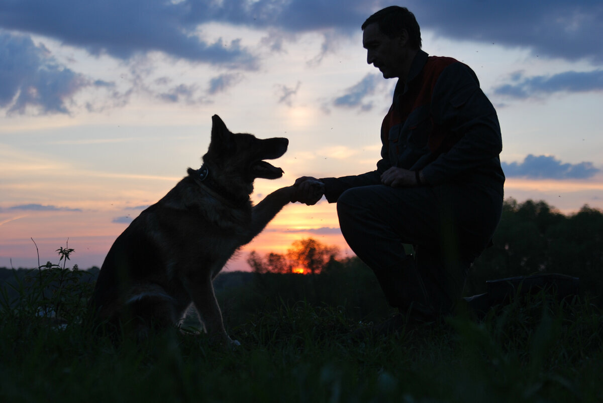 знакомство 