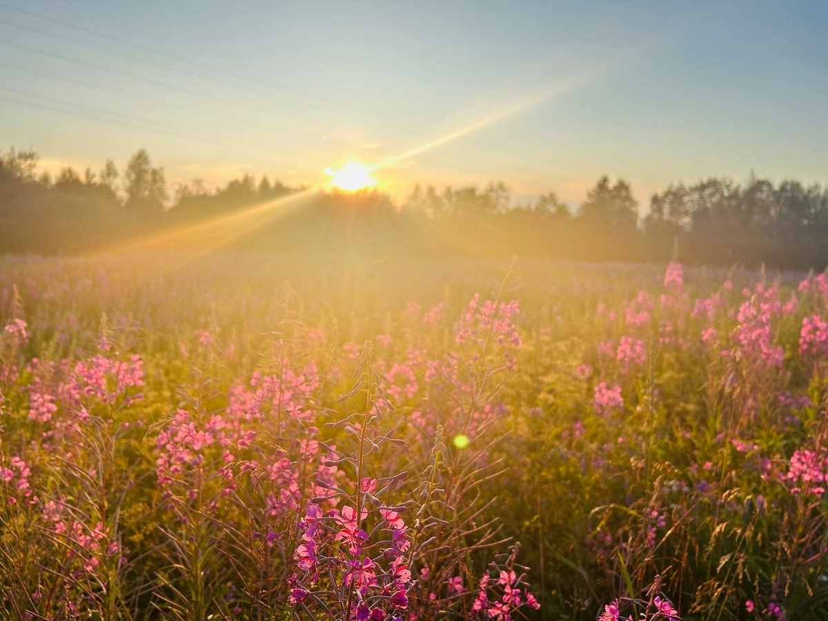 Фото: Neva.Today/Клава Назарова