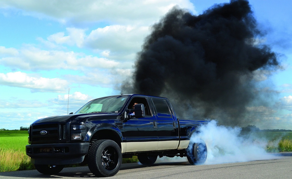 Источник картинки: Яндекс картинки 