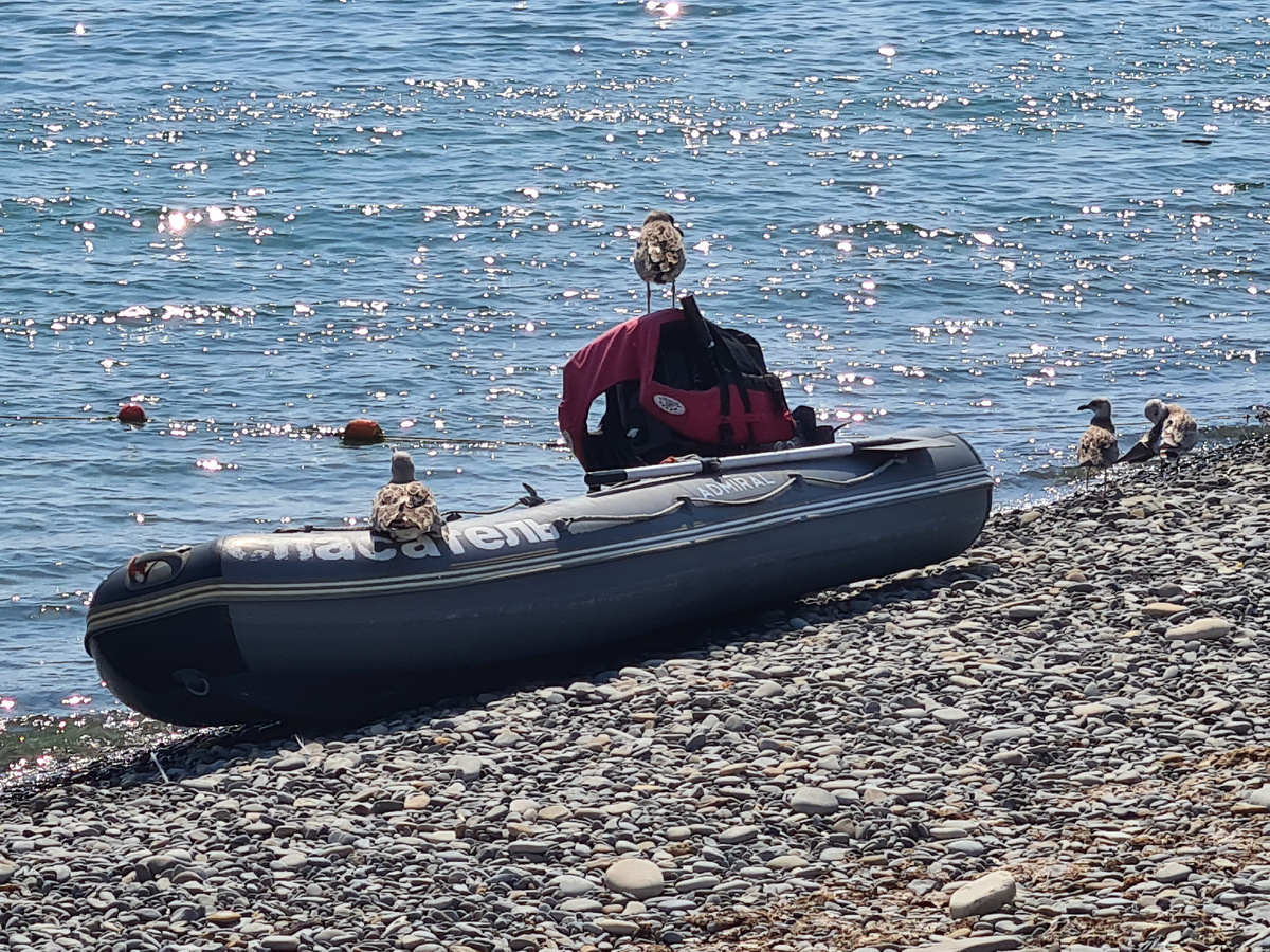 спасатели бдят)))