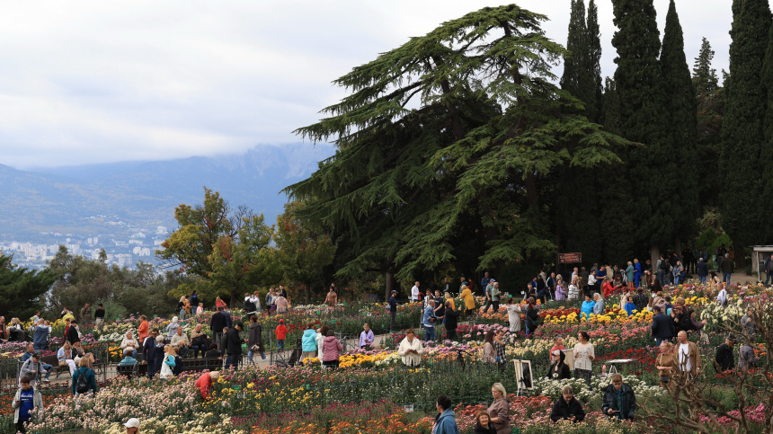    Фото: © РИА Новости/Макс Ветров