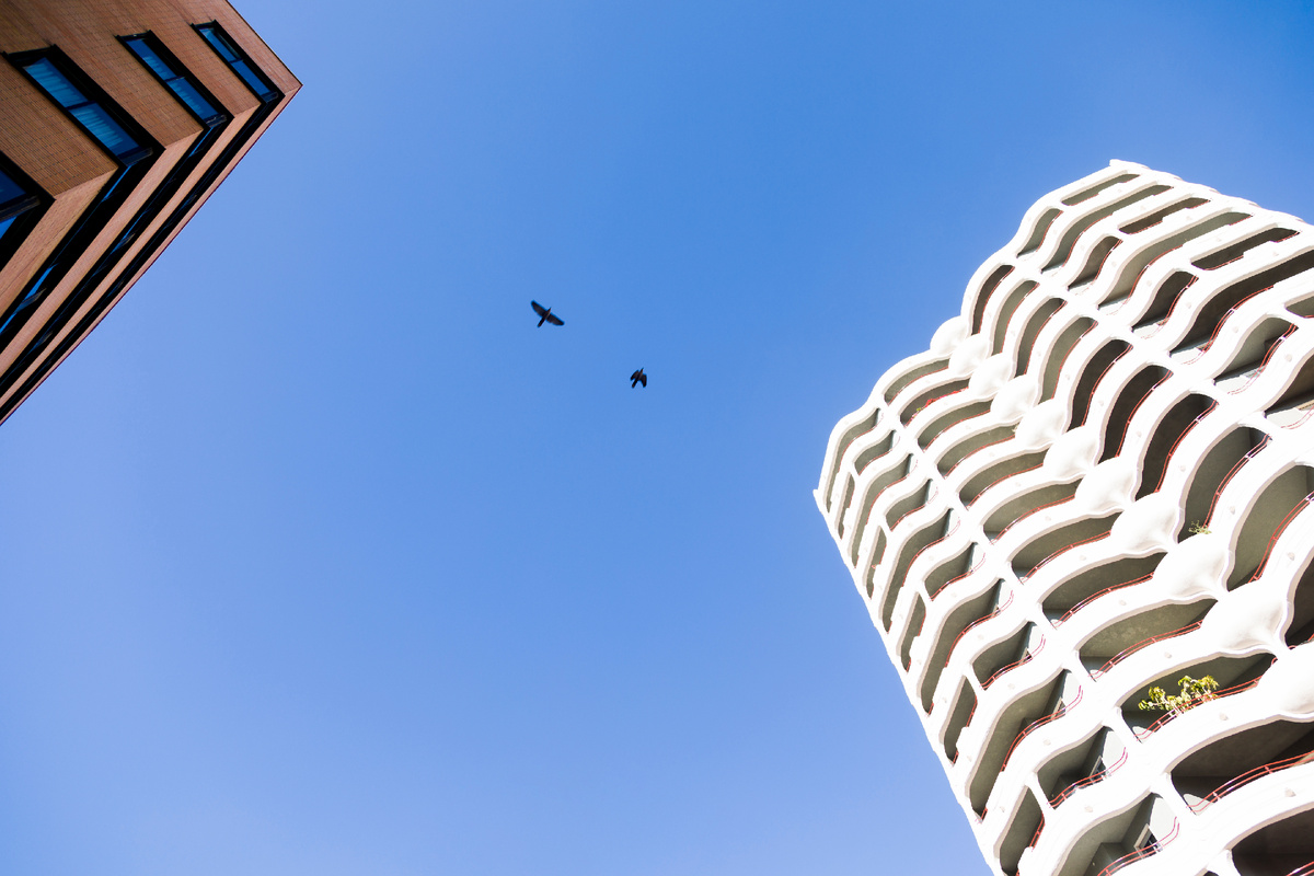 Изображение от freepik