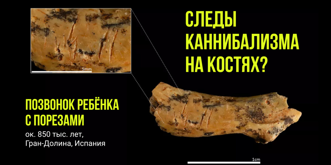 Как следы каннибализма могут быть видны на костях?