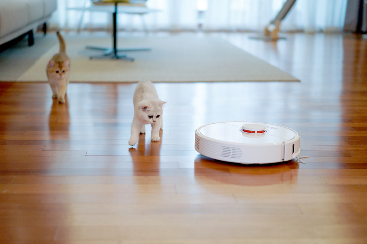 unsplash📷Для уборки пыли подойдут обычные сухие пылесосы, но эффективнее использовать технику с влажной опцией