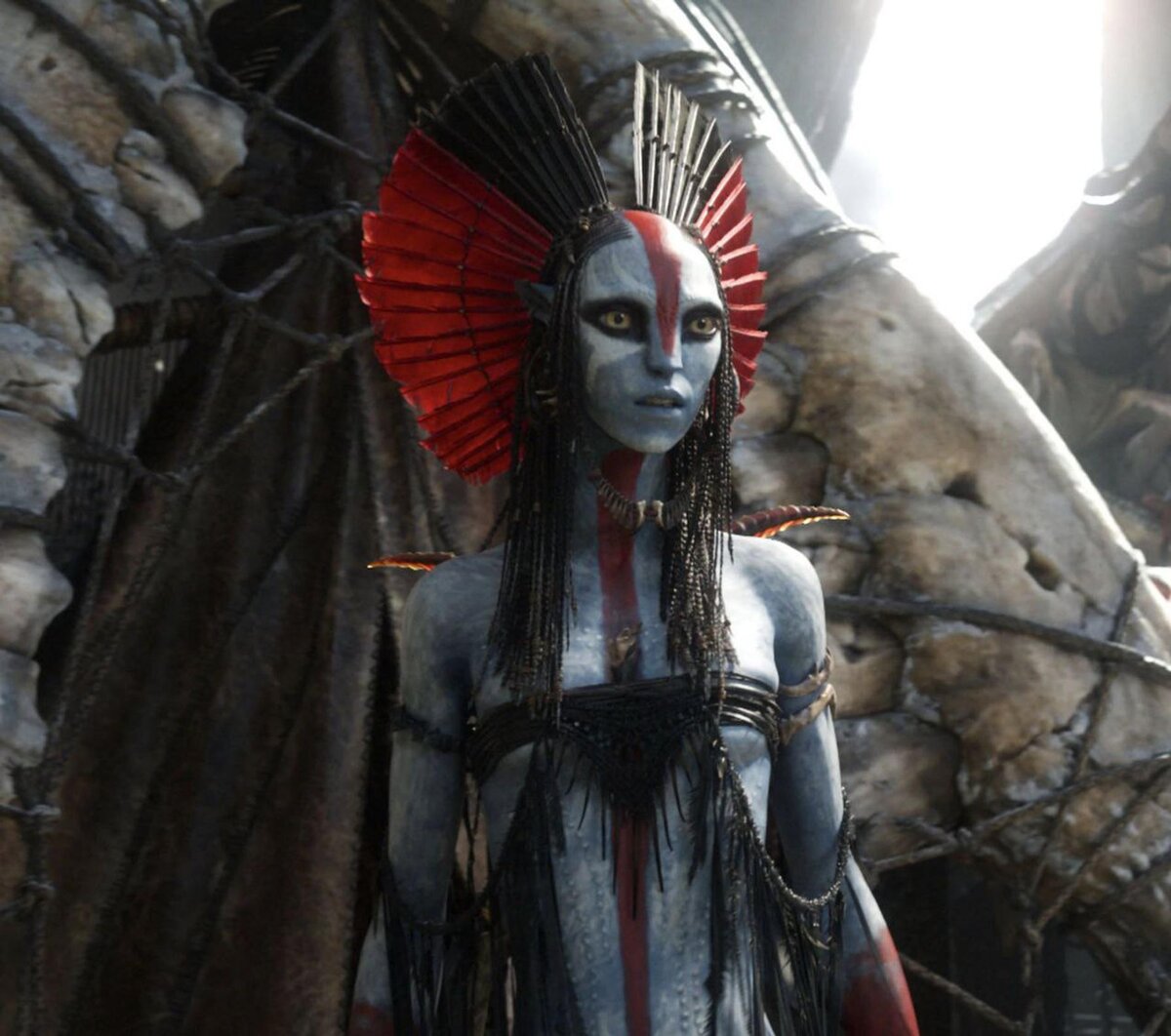    Фото: соцсети