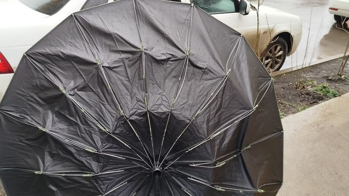    Фото: телеканал «Краснодар»