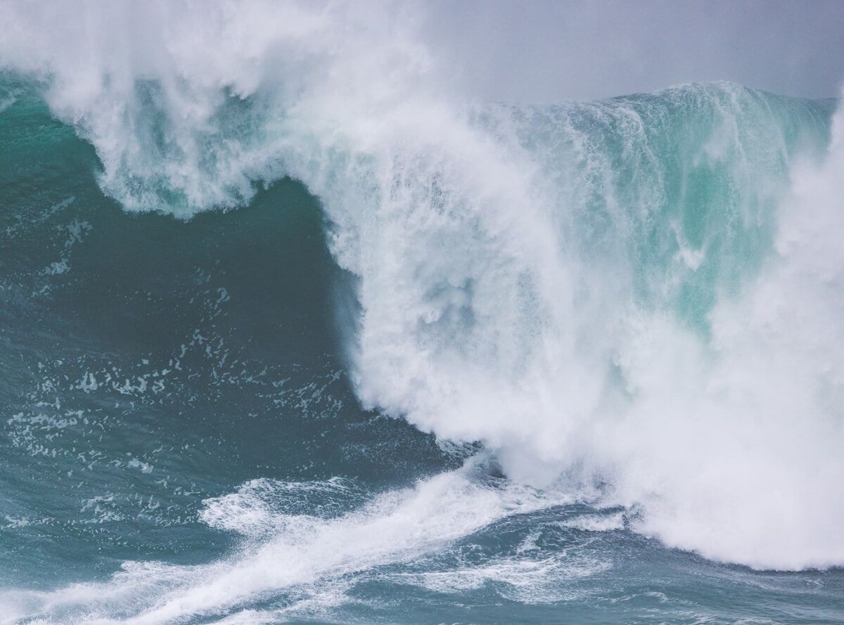     / Источник: © Henrique Casinhas/Global Look Press