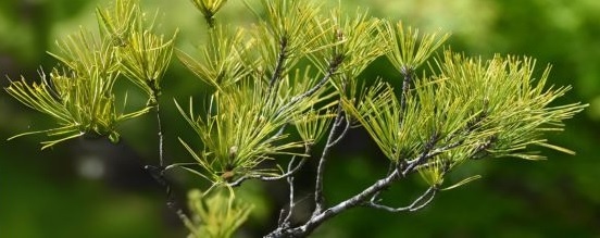 Фото: Банк международных расчётов