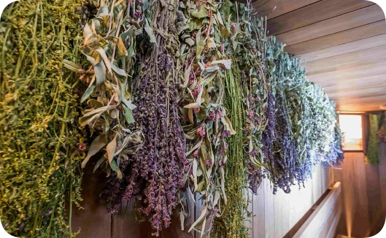 КАК ИСПОЛЬЗОВАТЬ ДОННИК В БАНЕ