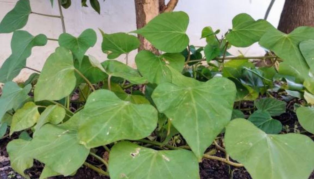 Фото: istockphoto.com