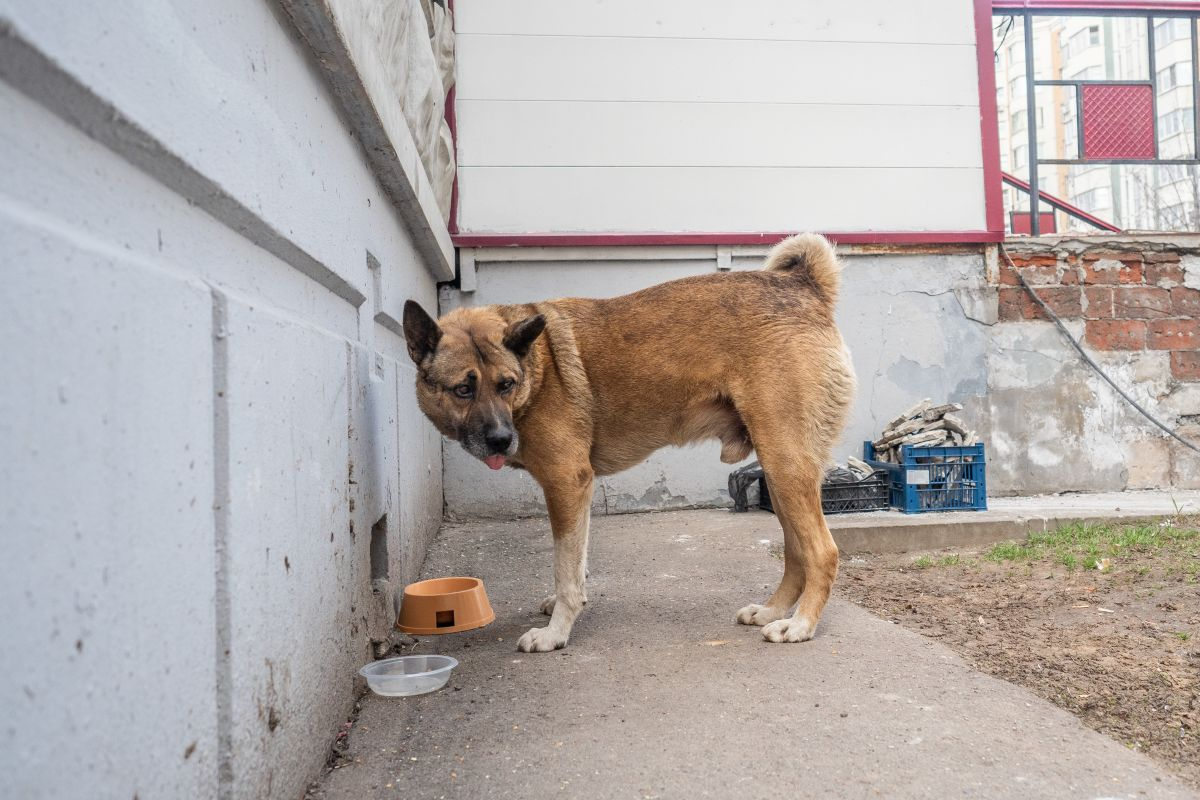 Фото: Александр Плонский / «ВиЖ»