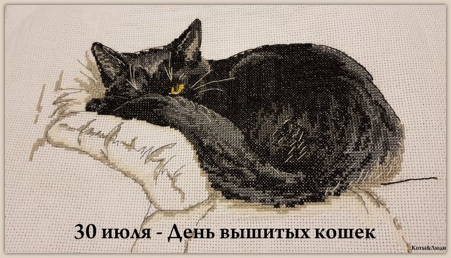 Коллаж автора. Использовано фото: https://crosti.ru/forum/view/3186/28