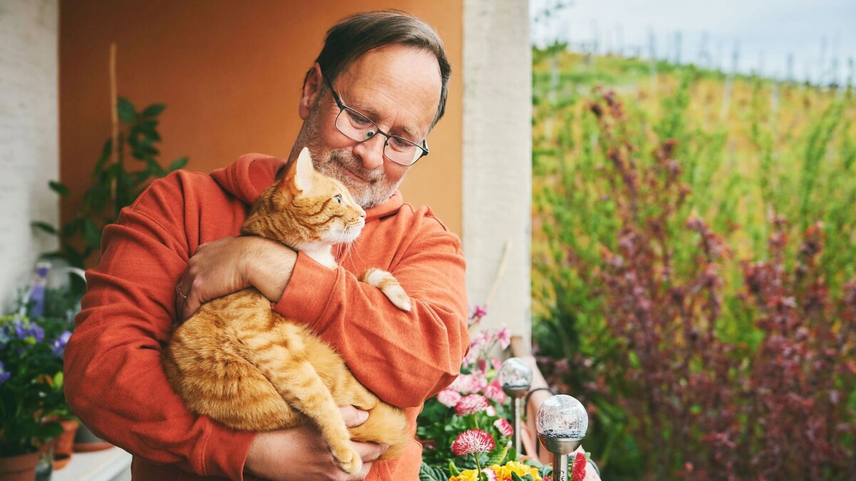    Фото: Anna Nahabed/Shutterstock/Fotodom