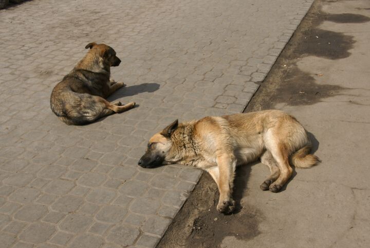    Фото: Александр Зинченко