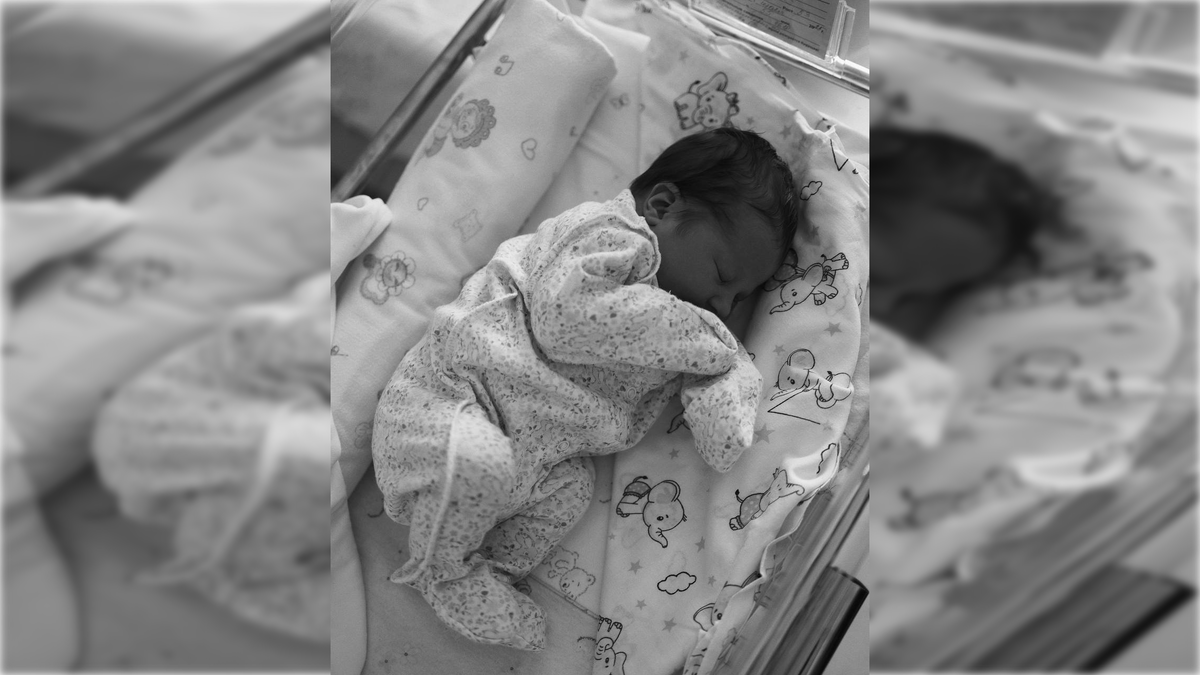 Фото: t.me/nastyaaafed