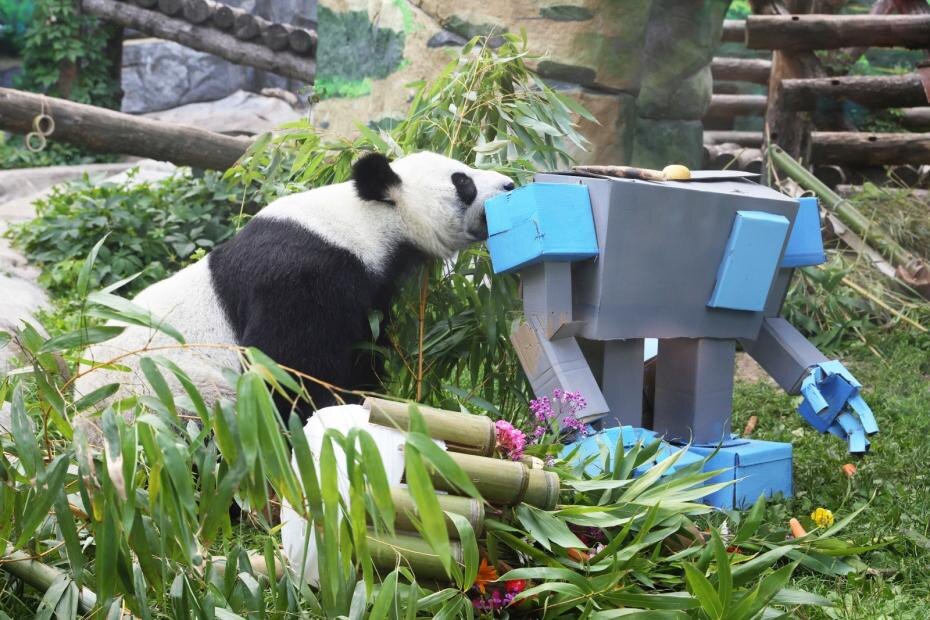    Наталья Шатохина/NEWS.ru