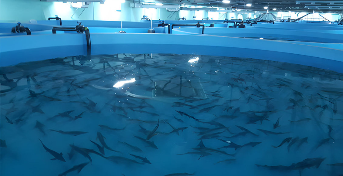    Фото: Минсельхоз Калининградской области