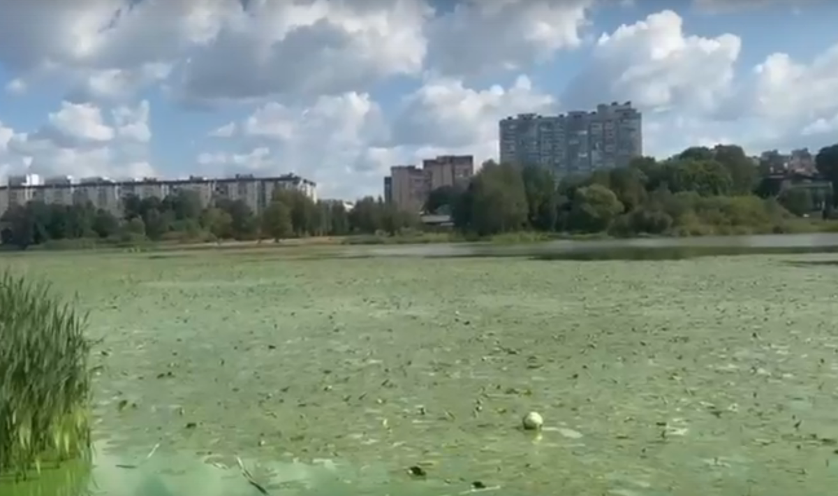 Фото: Pr Scr vk.com / Суздальские озёра | Общественный совет