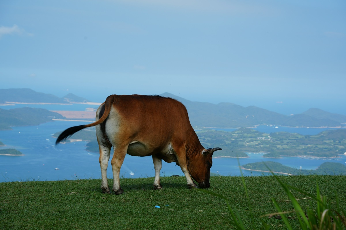 Фото с бесплатного фотостока https://unsplash.com, автор myu Y