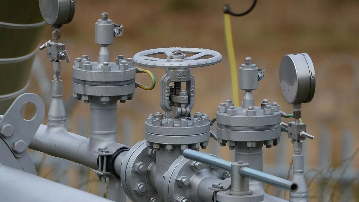 © Sputnik / Алексей Витвицкий / Перейти в фотобанк