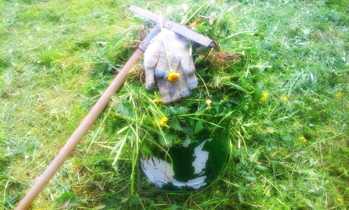 Работа в саду дает силы. Фото: канал Мир глазами курьера