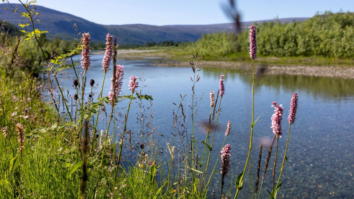    Фото: Федор Воронов/«Ямал-Медиа»
