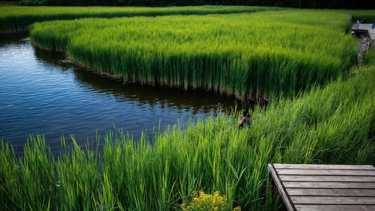    Сгенерировано ИИ