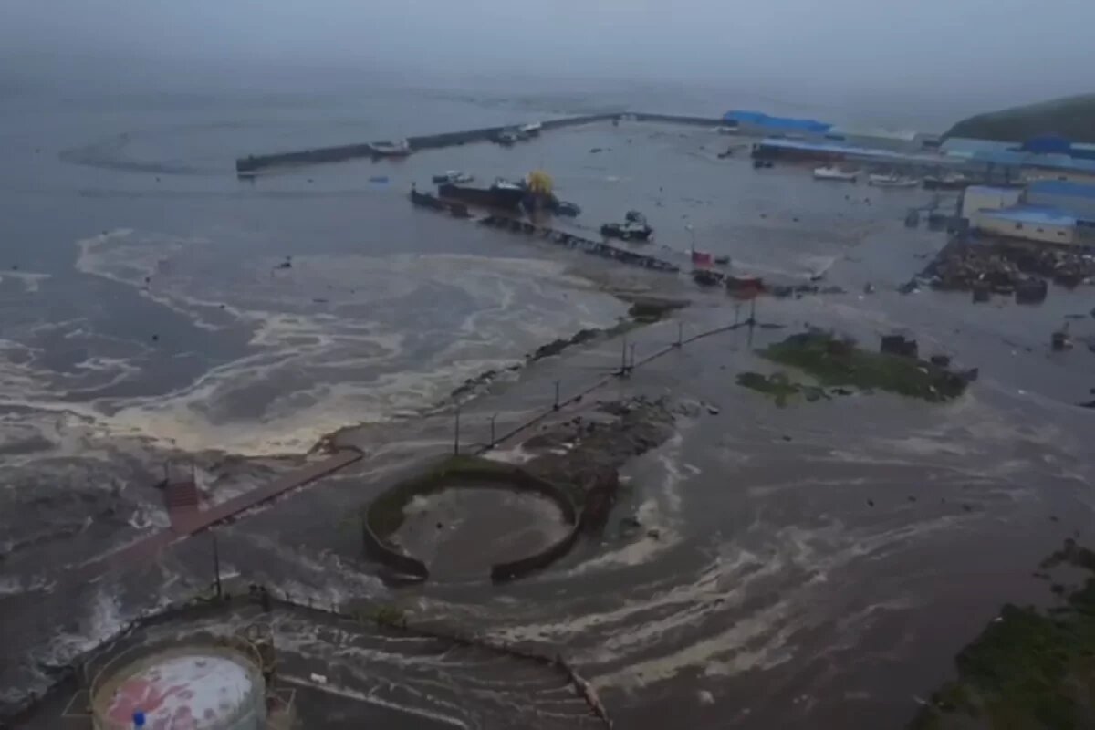    Сейсмолог Шебалин: землетрясение на Камчатке сопоставимо с Фукусимой