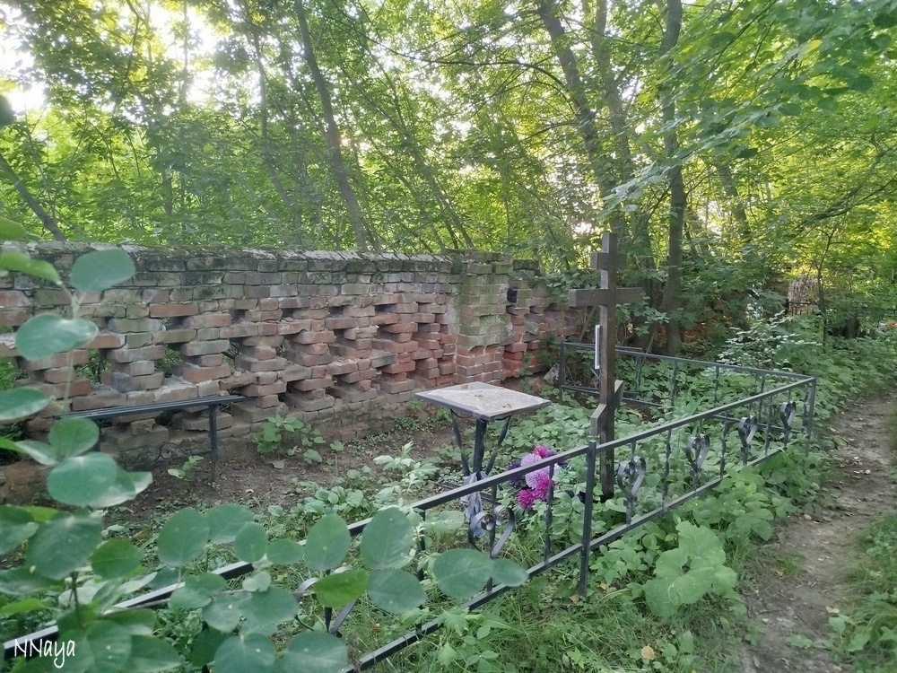 Наиболее сохранившиеся части забора выглядят так