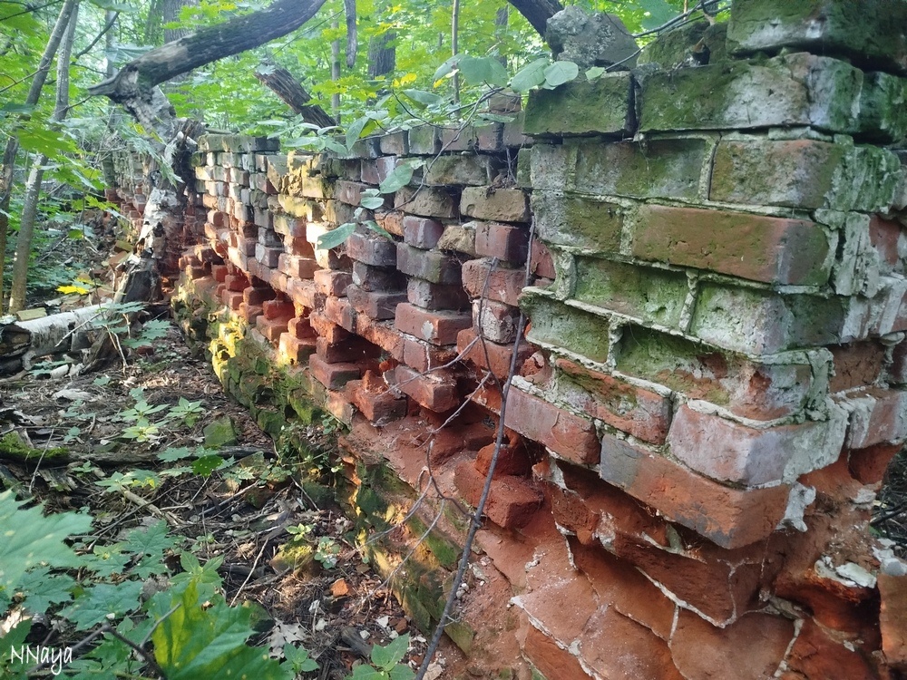 Забор в задней части кладбища почти разрушен