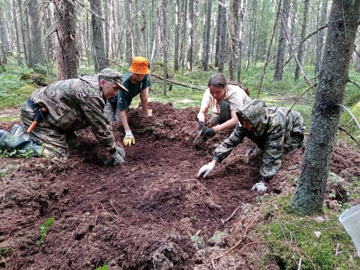    Фото: Николай Механиков